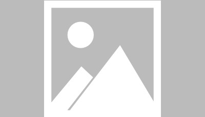  篮球年度颁奖盛典，表彰杰出贡献者